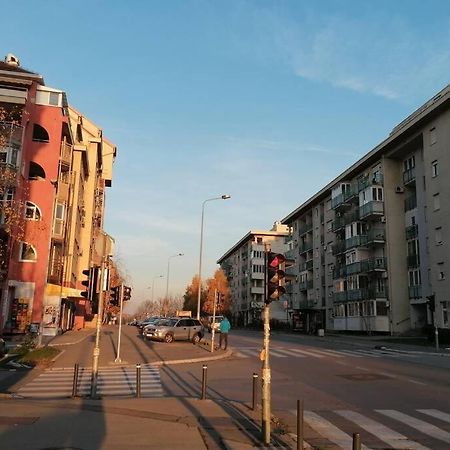 Oasis Felix Apartment Beograd Bagian luar foto