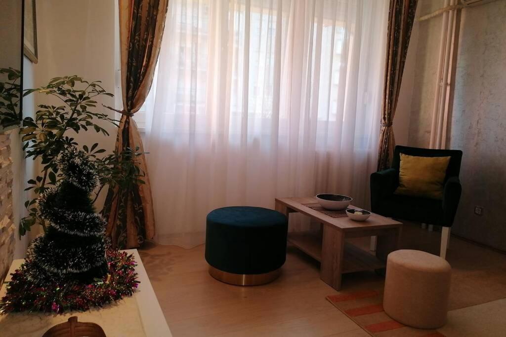 Oasis Felix Apartment Beograd Bagian luar foto