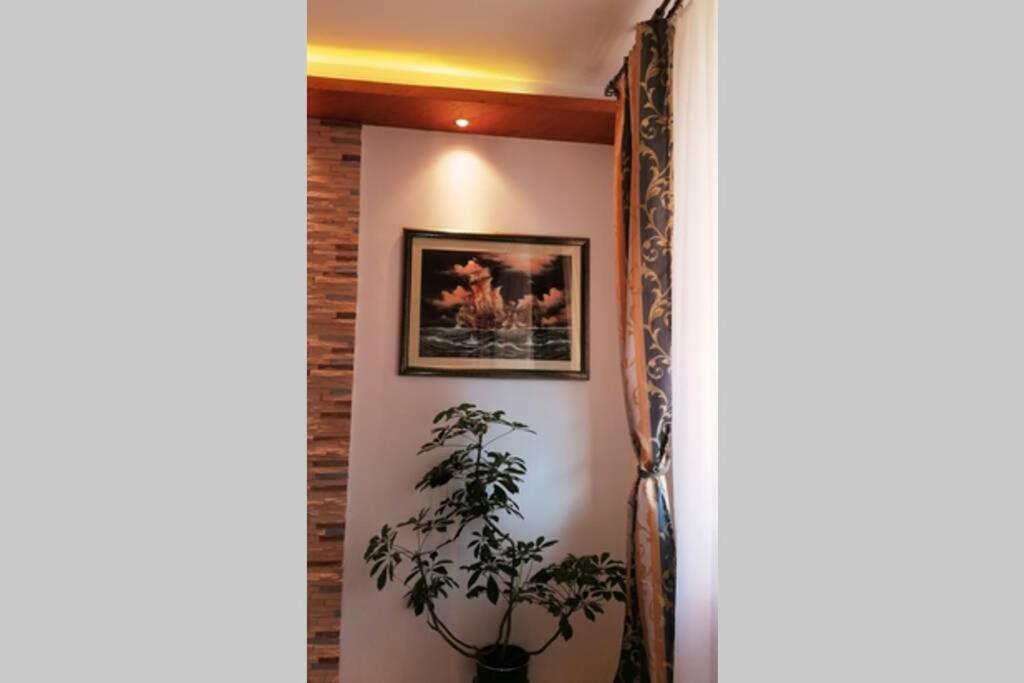 Oasis Felix Apartment Beograd Bagian luar foto