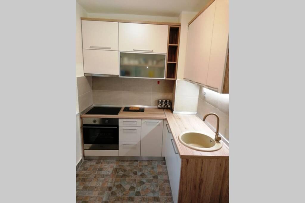 Oasis Felix Apartment Beograd Bagian luar foto