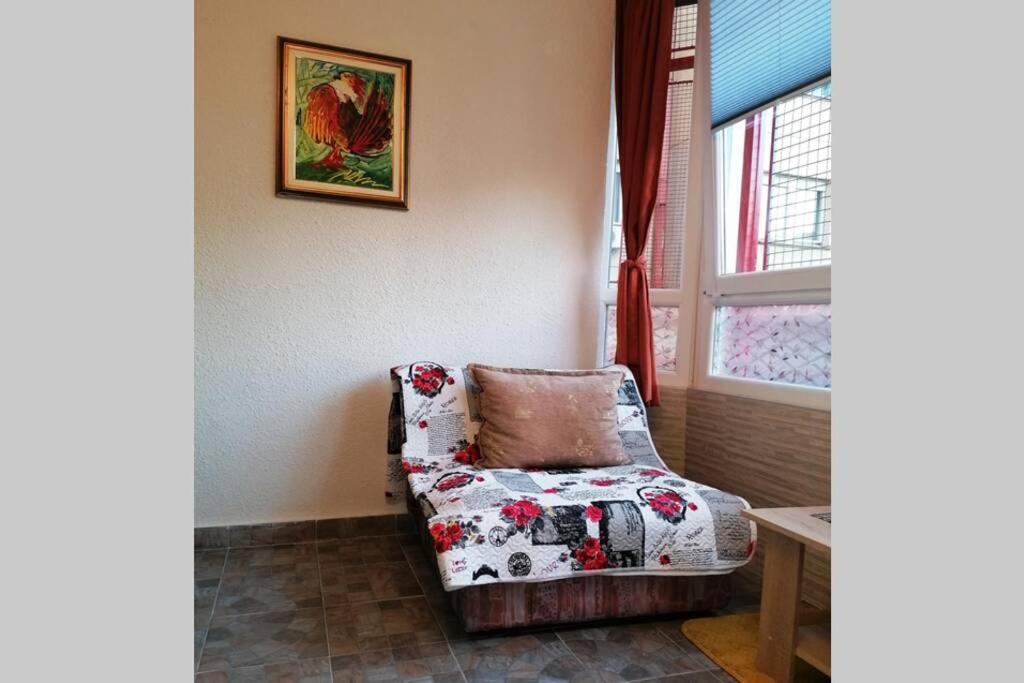 Oasis Felix Apartment Beograd Bagian luar foto