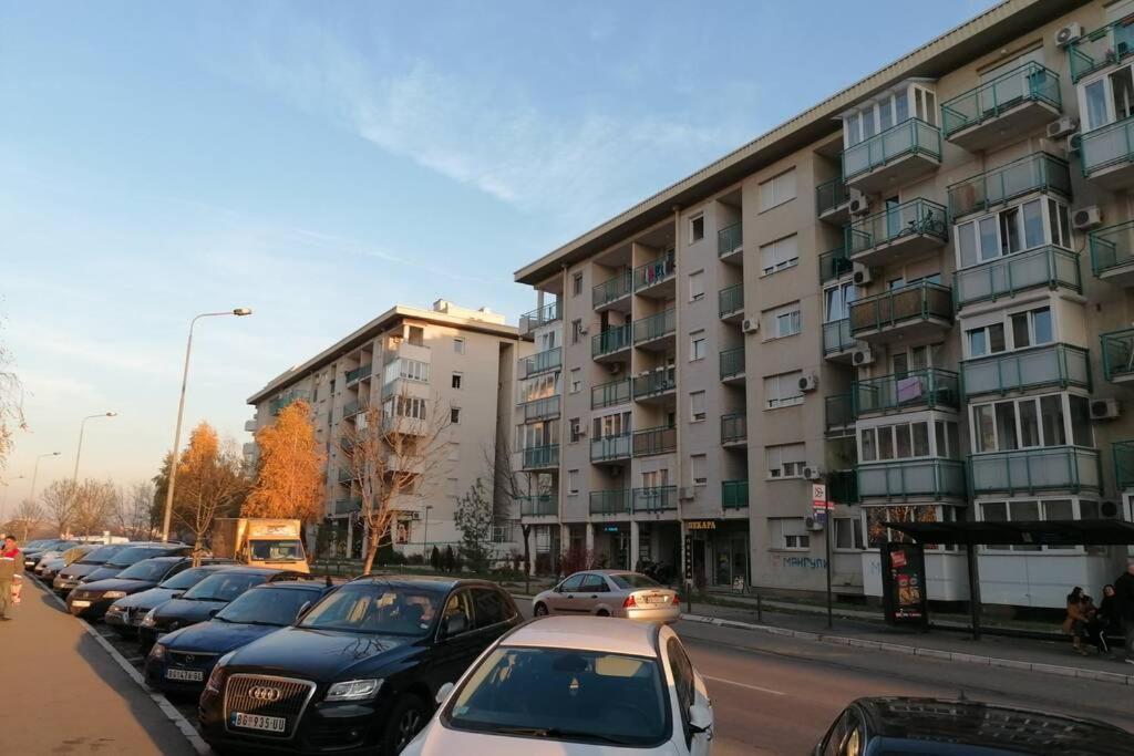 Oasis Felix Apartment Beograd Bagian luar foto