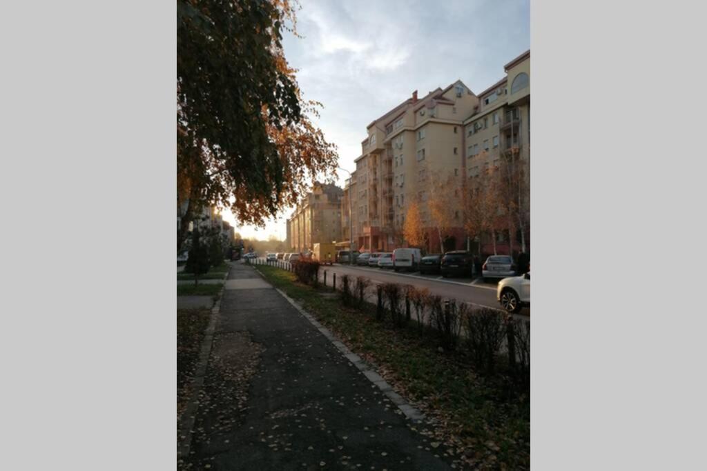 Oasis Felix Apartment Beograd Bagian luar foto